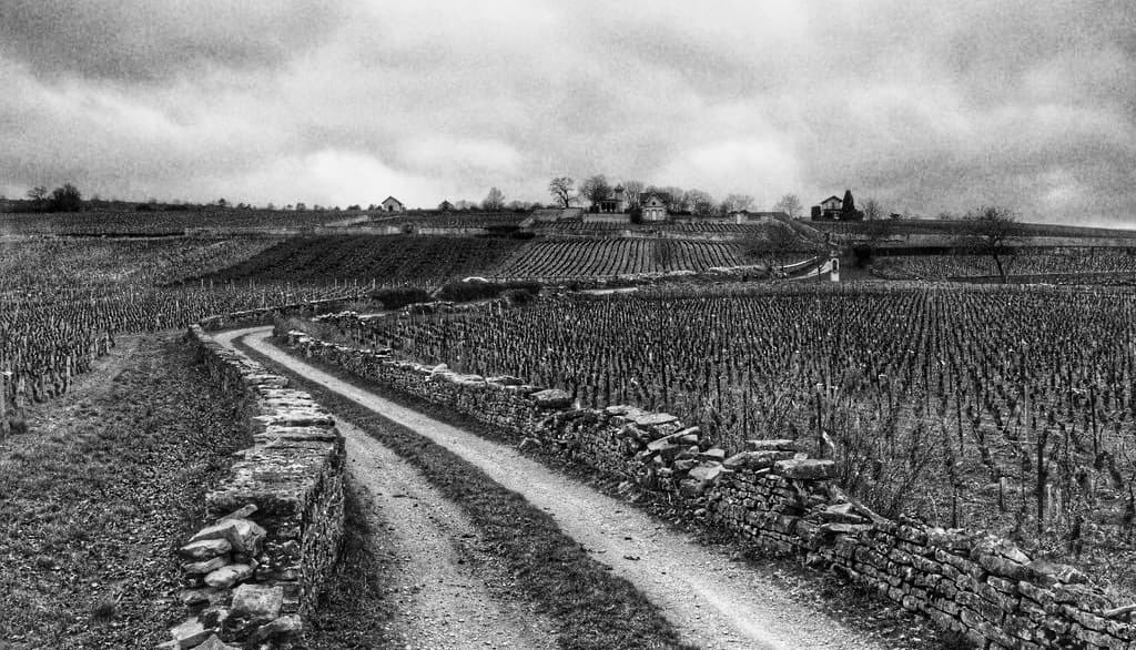 Domaine Bouzereau-Gruère & Filles