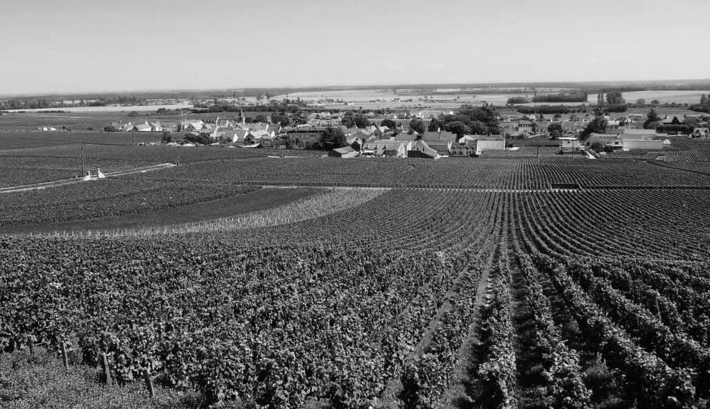 Domaine Jacques Cacheux