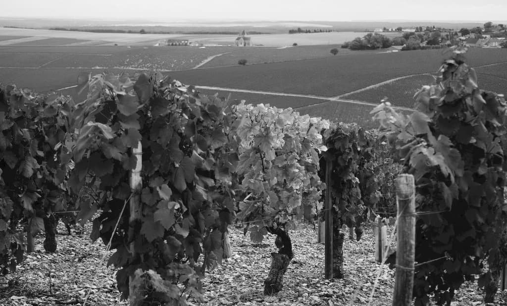Domaine des Chenevières