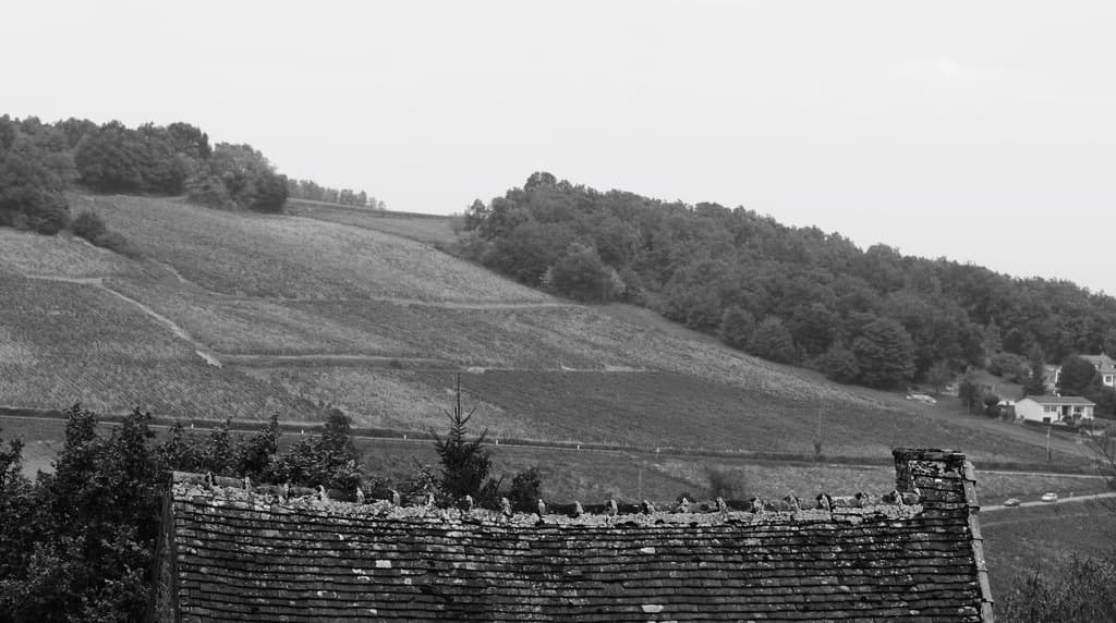 Domaine Jean-Baptiste Ponsot