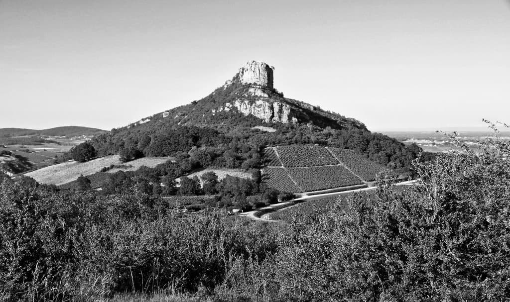 SFBU-TROU-PICT Domaine Frédéric Trouillet