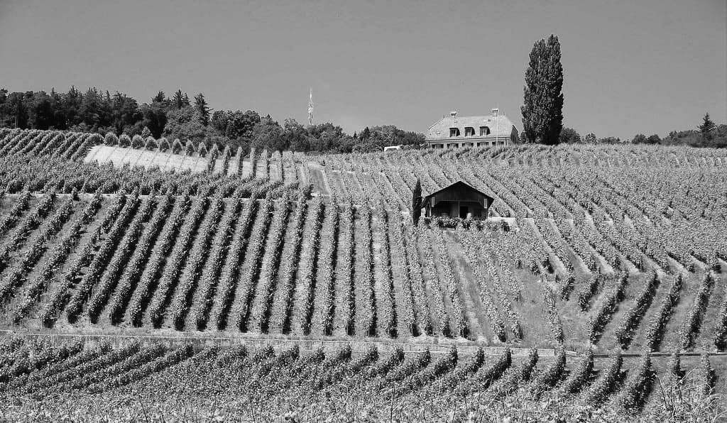 Domaine André et Mireille Tissot