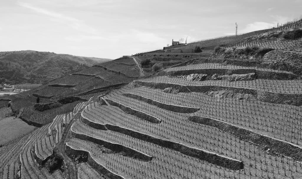 Domaine Alain Graillot