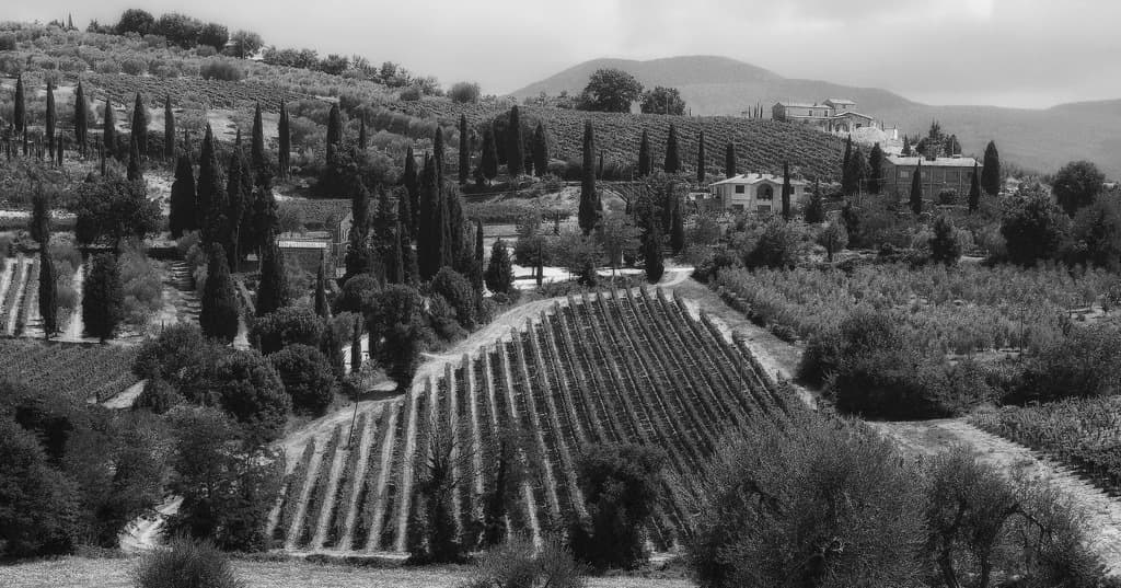 SITO-CANA-PICT Canalicchio Di Sopra