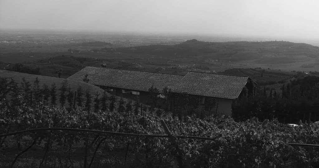 Vini di Luce