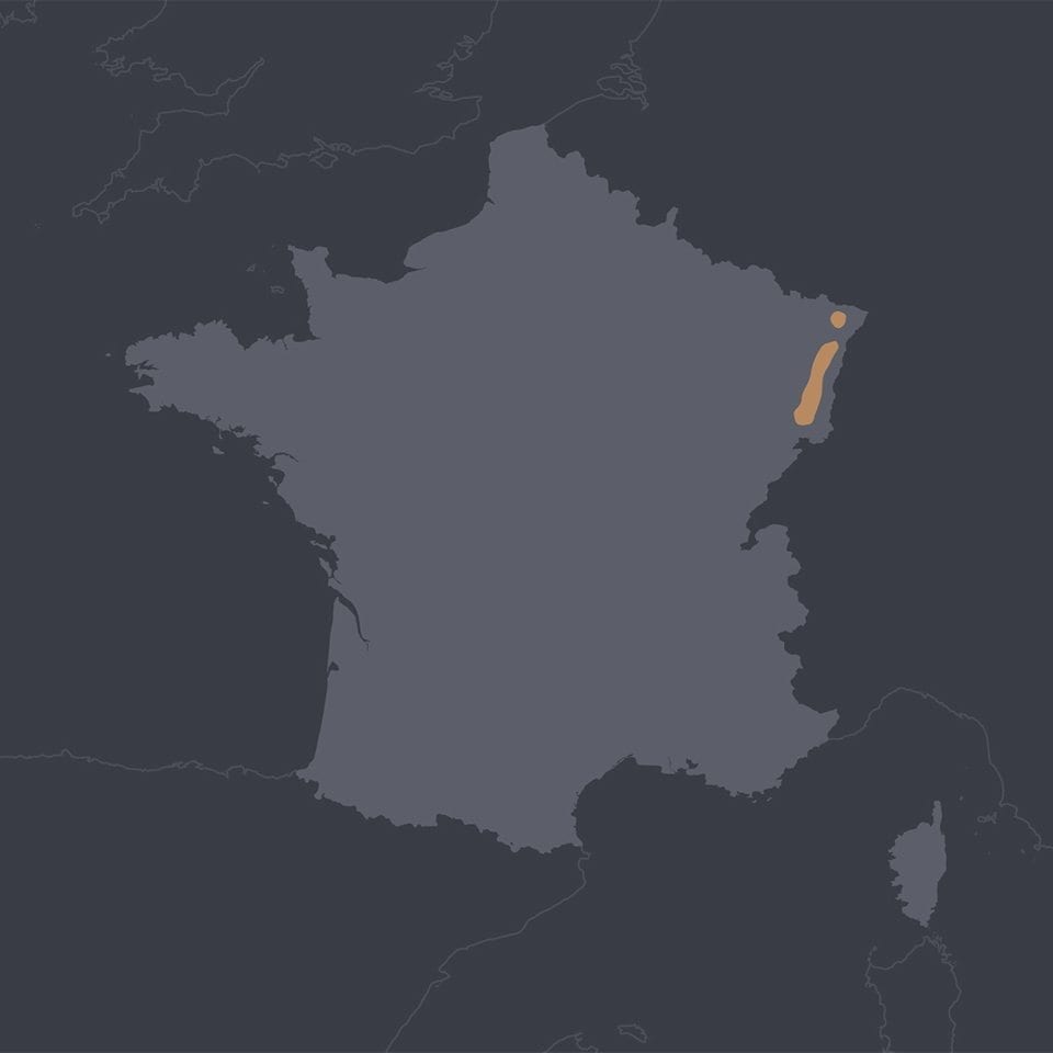 map_france_region_alsace_square