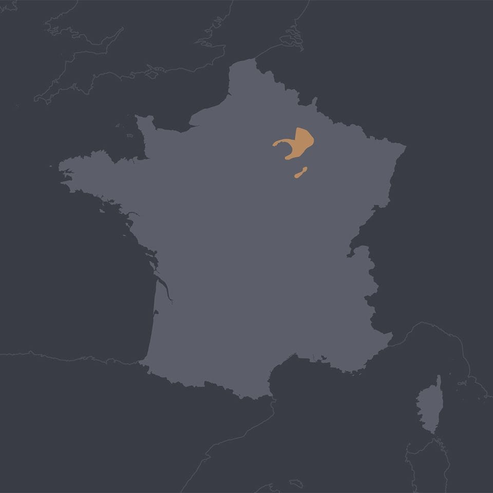 map_france_region_champagne_square