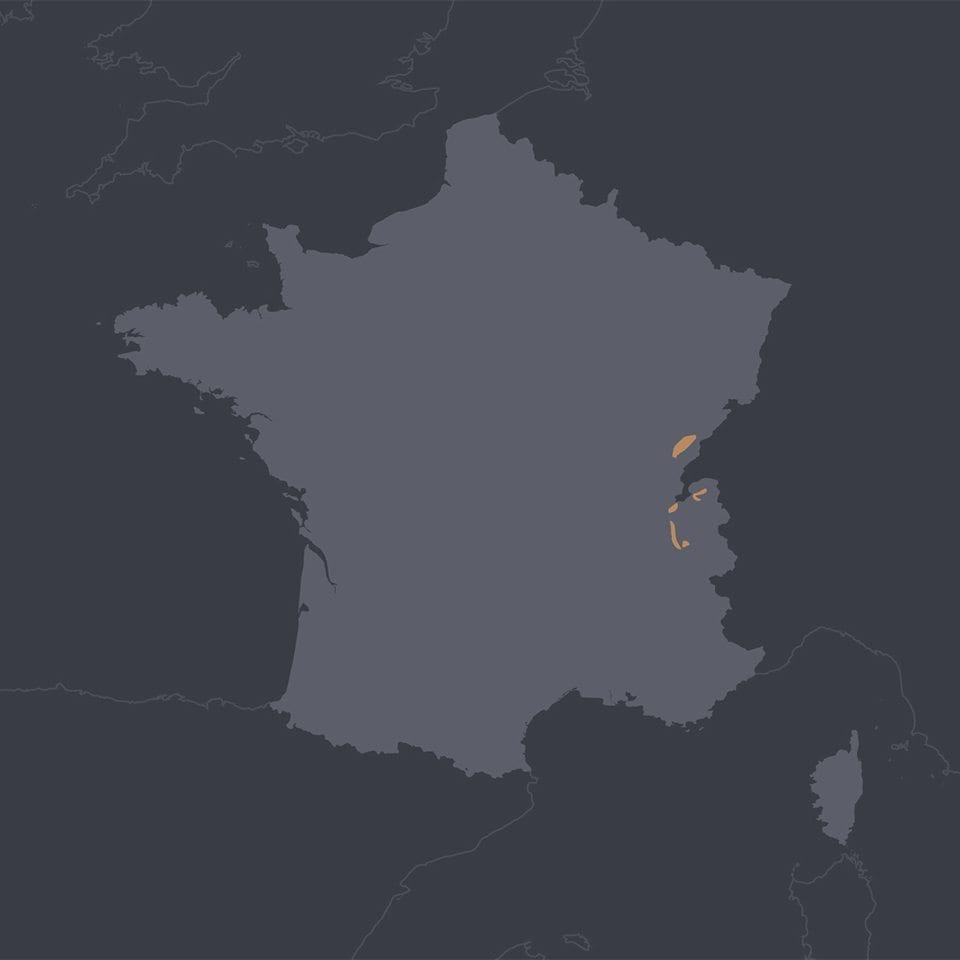 map_france_region_jurasavoie_square