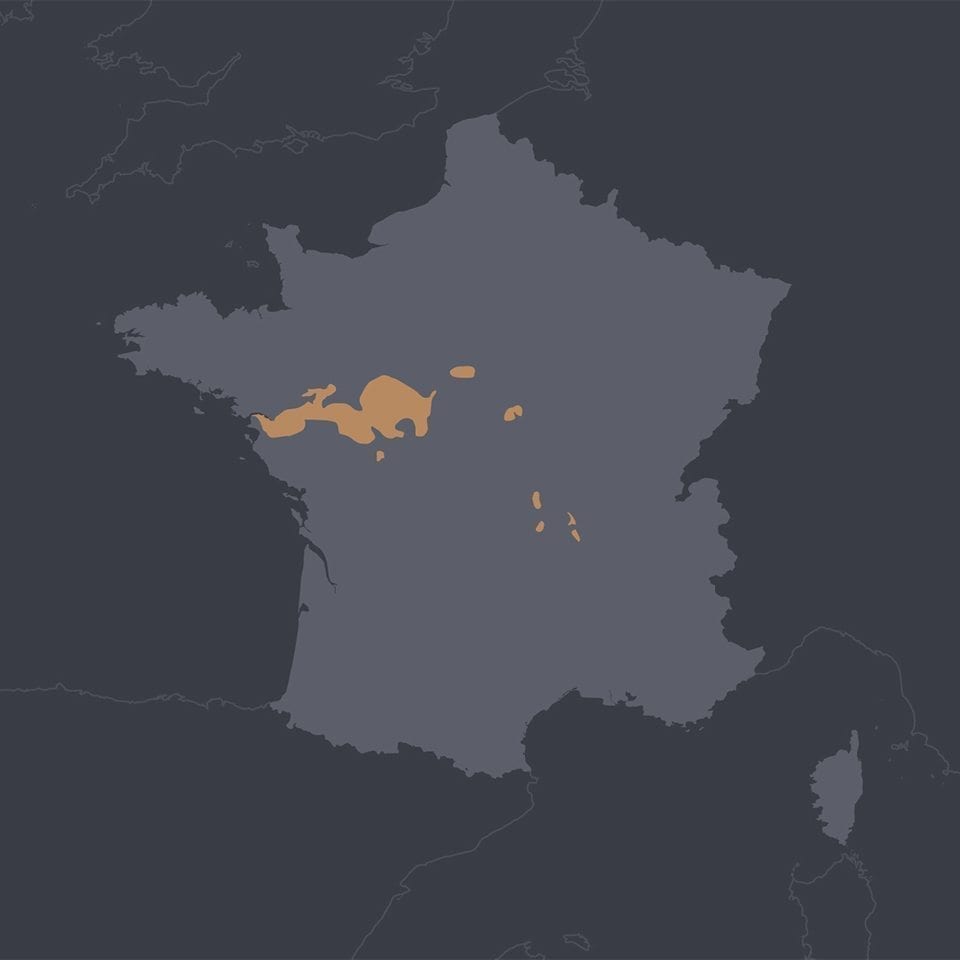map_france_region_loirevalley_square