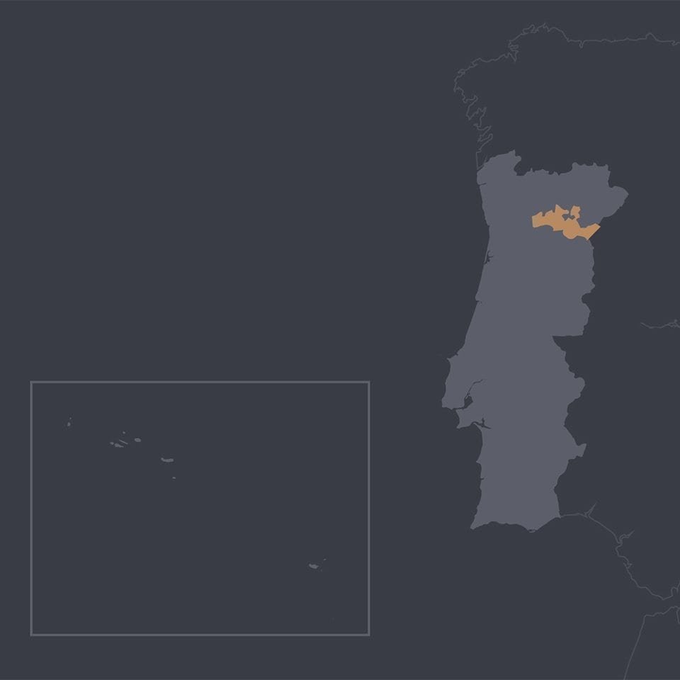 map_portugal_region_douro_square