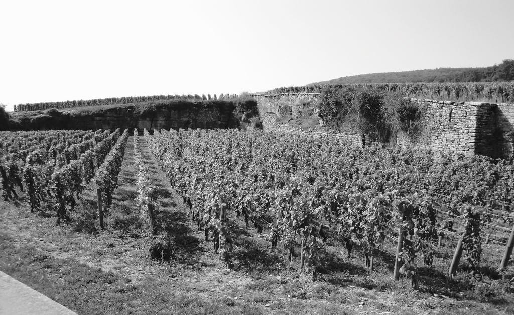Domaine Armand Rousseau