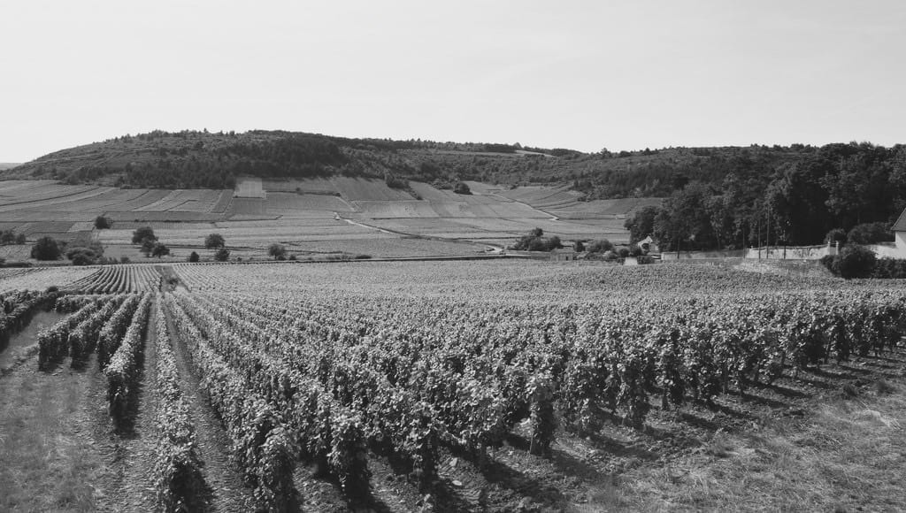 Domaine François Raquillet