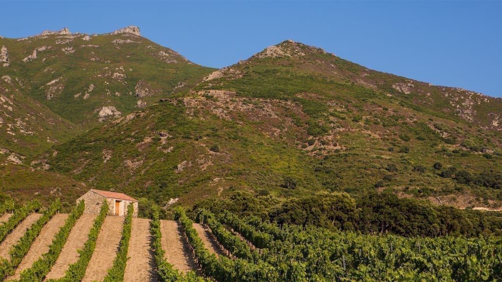 Domaine Yves Leccia E Croce