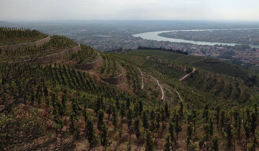 JLChave Domaine JL Chave