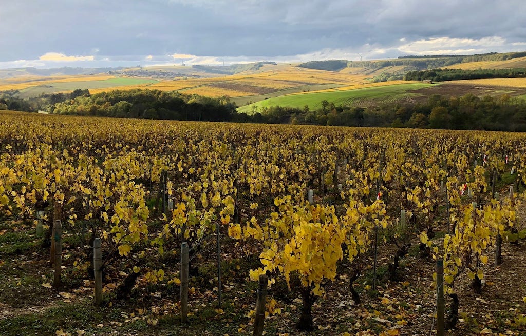 Domaine Wengier Chablis