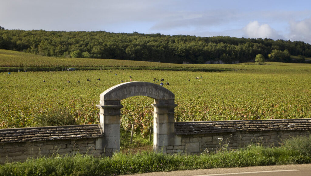 PrieureRoch Domaine Prieuré-Roch